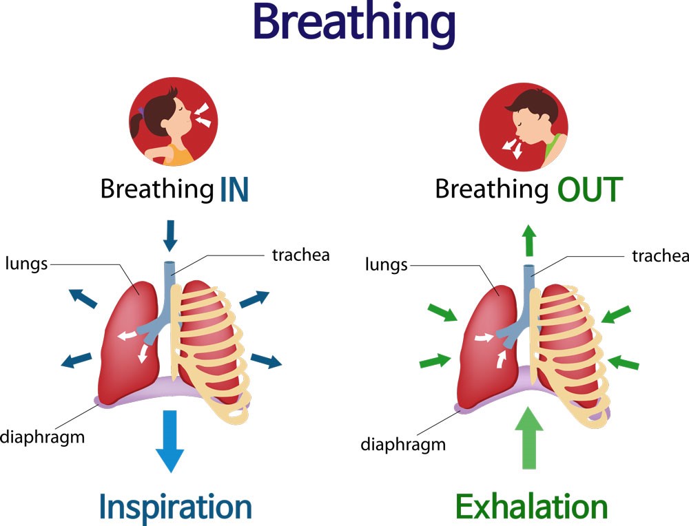 pulse oximeter