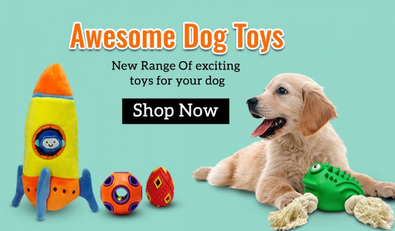 BarkBox Review: Price, Pros & Cons