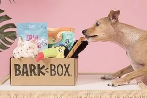 BarkBox